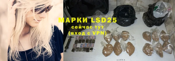 крисы Бородино