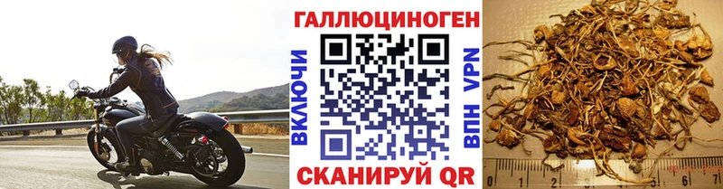 мега ссылка Мезень Псилоцибиновые грибы Psilocybe наркошоп